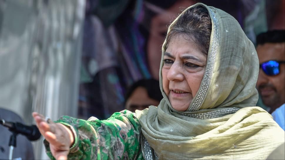 PDP Can Fight BJPs Onslaught On J-Ks Identity: Mehbooba Mufti