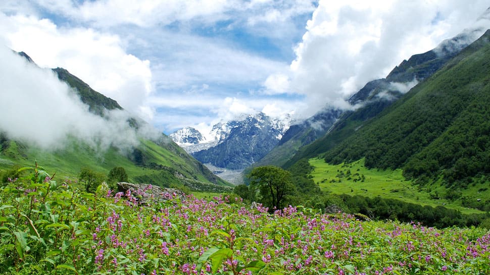 Valley of Flowers Trek, Uttarakhand