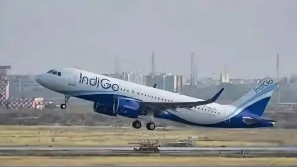 IndiGo Mumbai-Doha Flight Faces Tech Issue; Passengers Wait Long Inside Plane