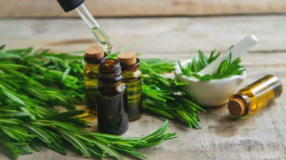 Rosemary Oil for long shiny and healthy hair 