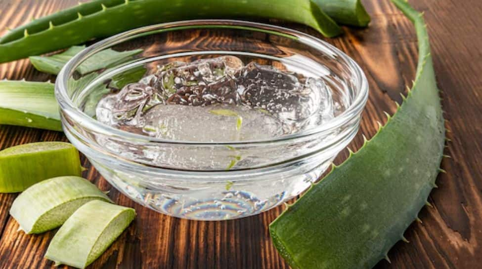 Aloe Vera gel uses for hair, hairfall, healthy and shiny hair