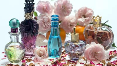 Perfumes Uplift Your Personality