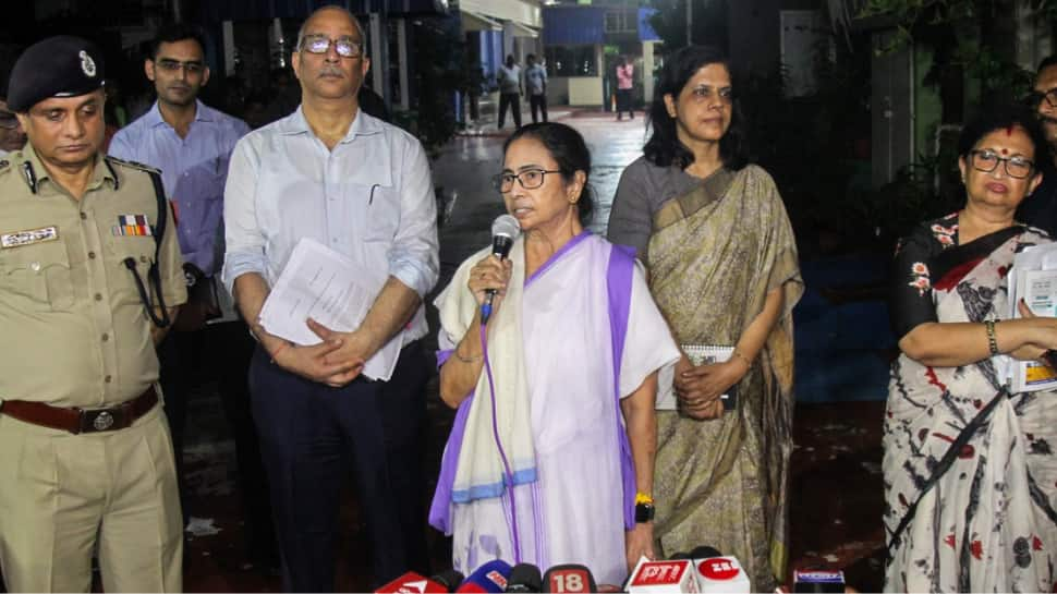 Kolkata Rape-Murder: Doctors Vow To Continue Strike Despite CM Mamata&#039;s Response, Seek Another Meet