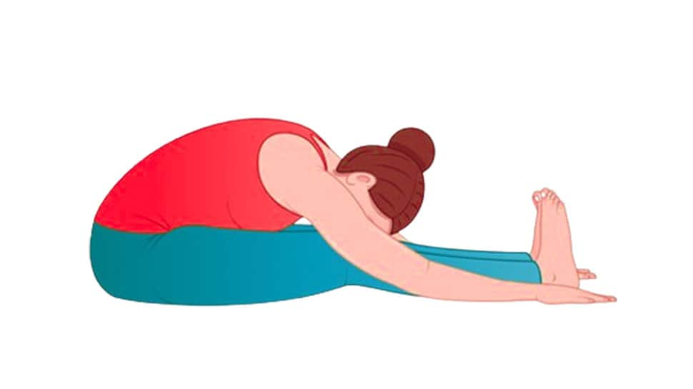 Paschimottanasana (Seated Forward Bend)