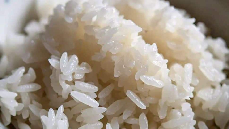 Manufacturer – Toyo Rice Corporation