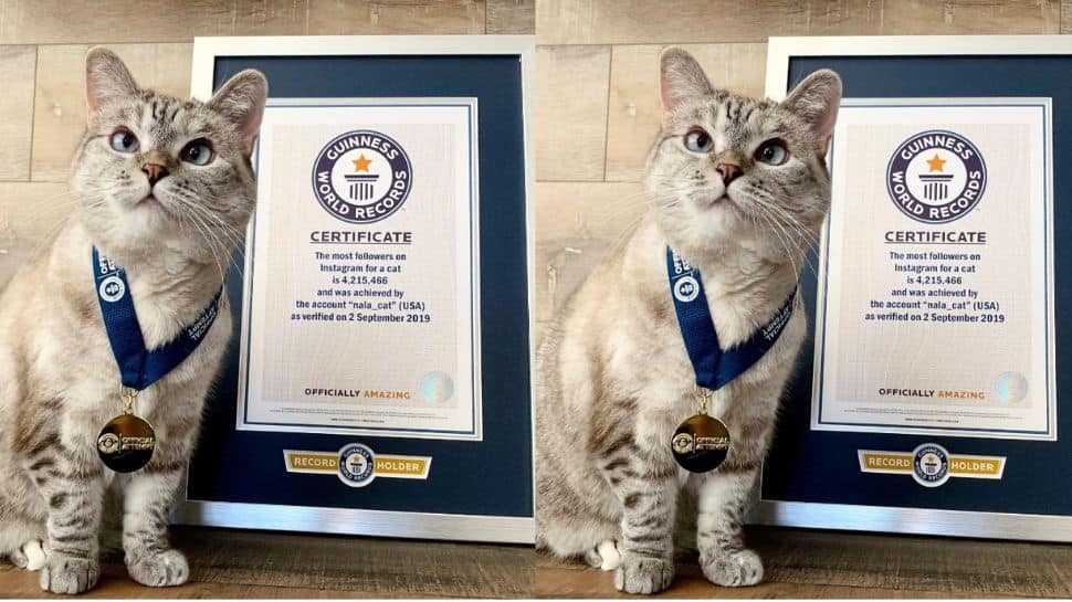 Guinness World Records 