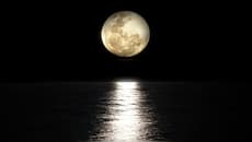 Water On The Moon: New Research Unveils A Surprising Discovery