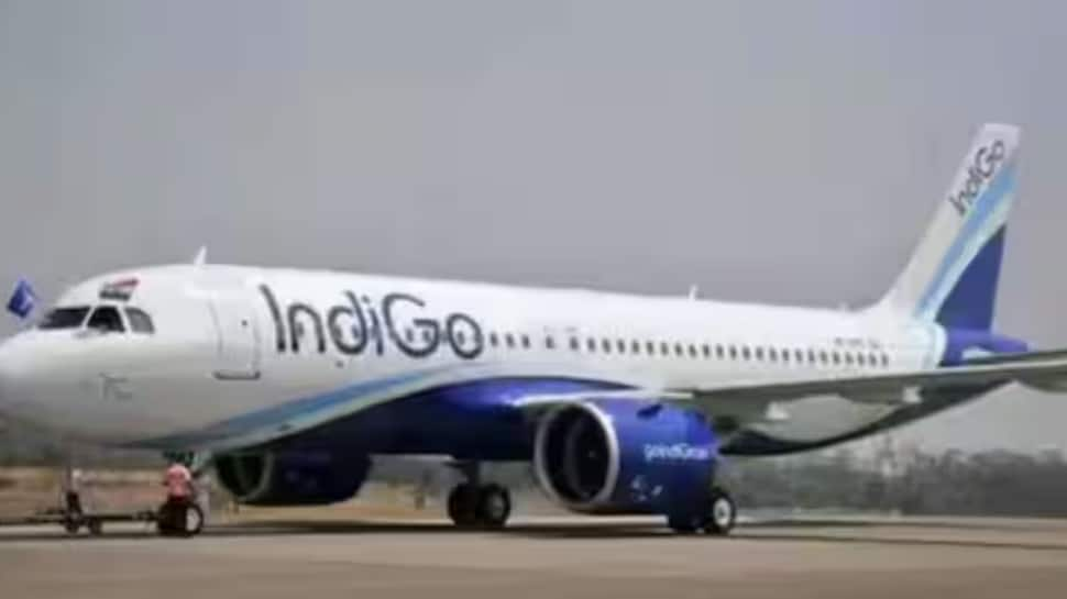 Indigo