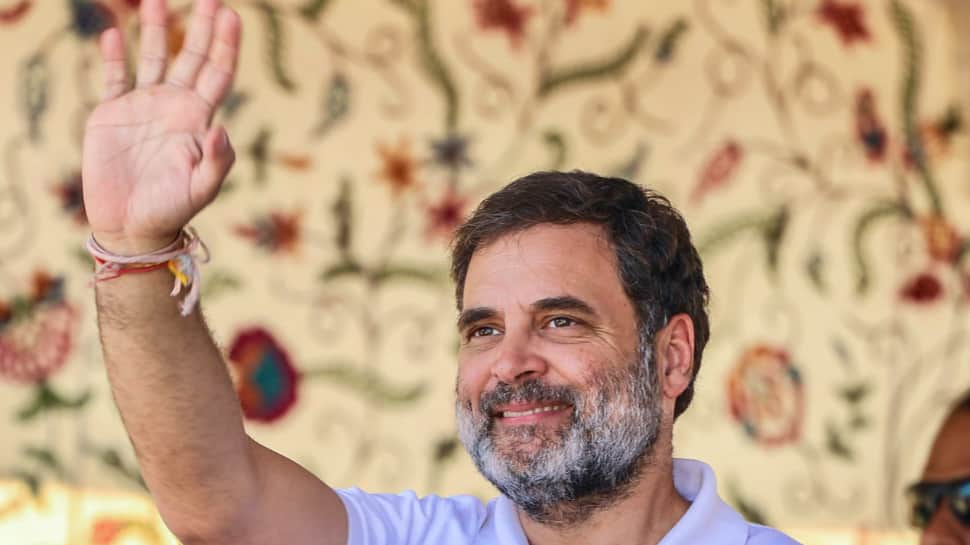 Jammu &amp; Kashmir Assembly Elections: Rahul Gandhi To Address 2 Rallies In J&amp;K Today