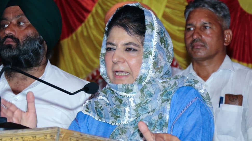 &#039;PDP Will Support Any Secular Govt...,&#039; Says Mehbooba Mufi Amid Jammu And Kashmir Polls