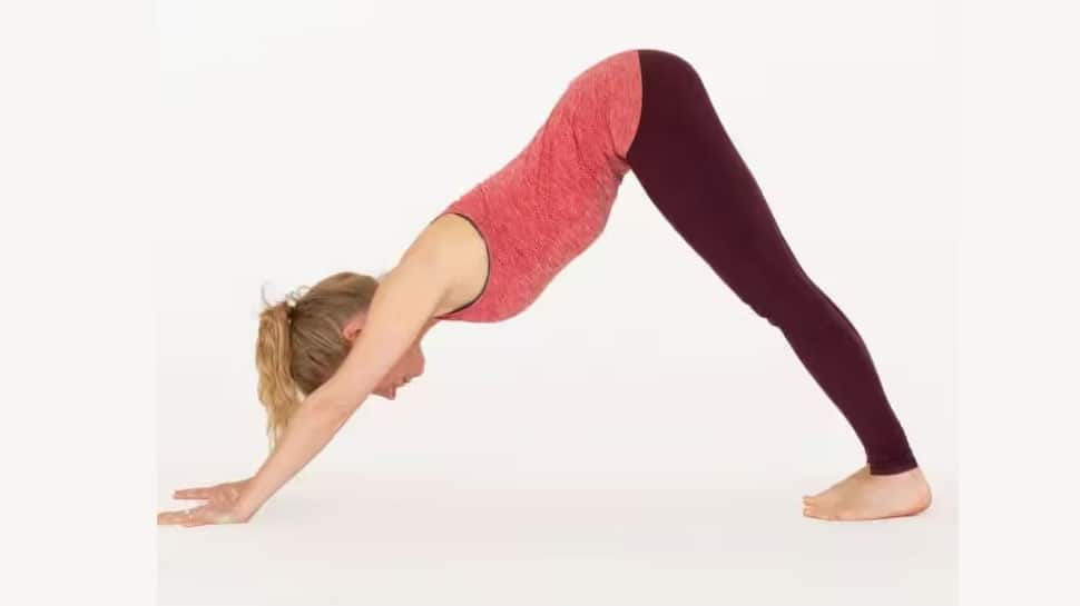 Adho Mukha Svanasana (Downward-Facing Dog)