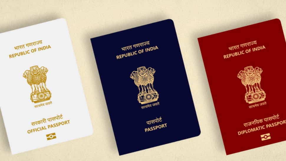 Understanding the Different Types and Colors of Indian Passports ...