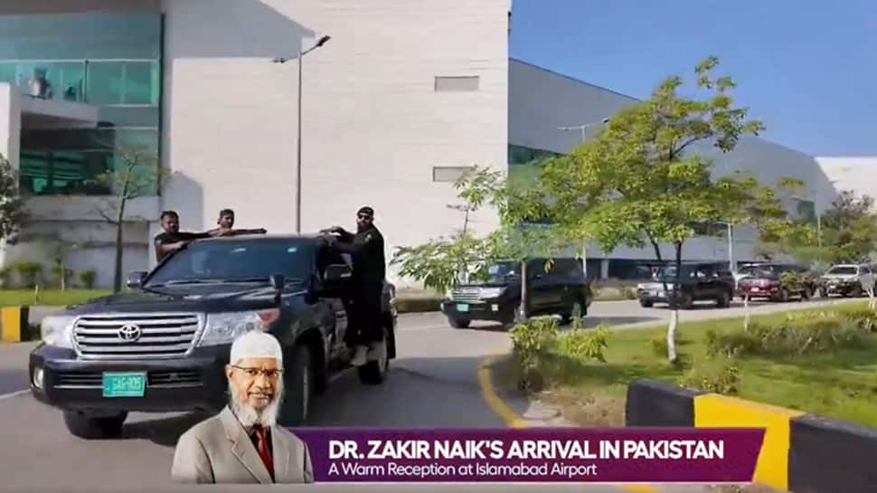 Wished In India, Zakir Naik Will get Idiot-Proof Safety, Purple Carpet Welcome In Pakistan – Watch Video