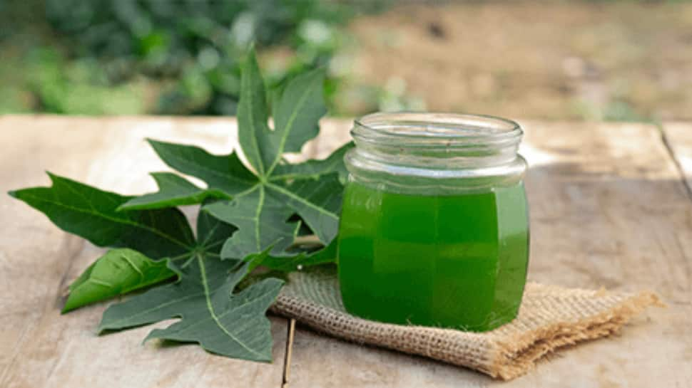 Boost Your Health: 3 Days of Papaya Leaf Water Benefits