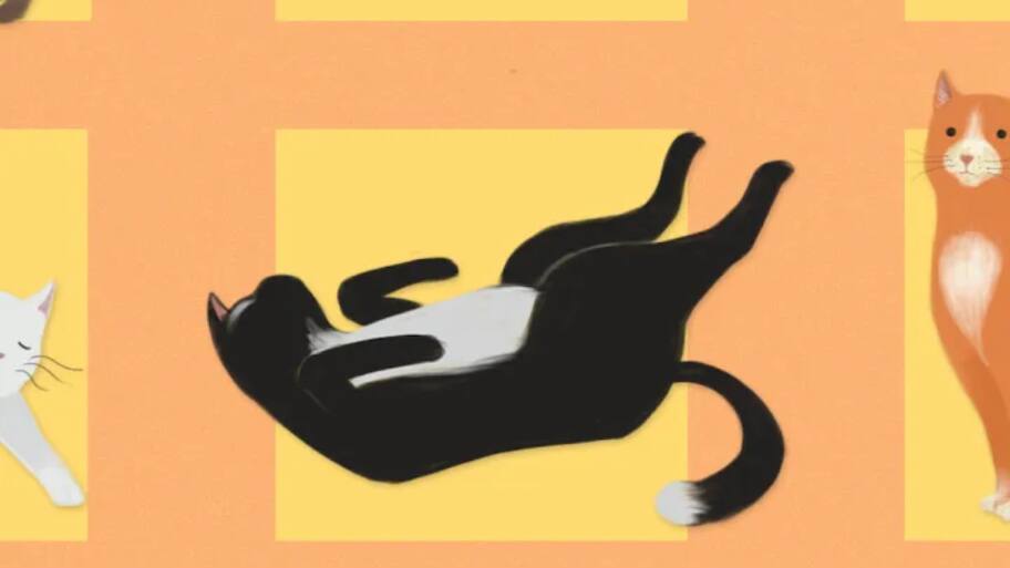 Decoding Cat Behavior: The Meaning Behind Sitting with Their Back to ...