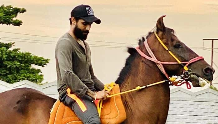 Ravindra Jadeja Enjoys Horse-Riding In Jamnagar - Watch