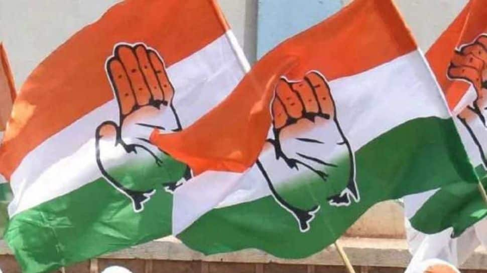 Congress&#039;s Premature Celebrations Lead to Disappointment, Says BJP