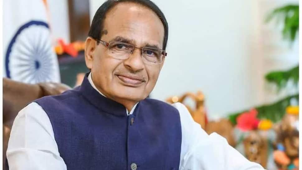 Assembly Elections 2024: &#039;BJP Sought Mandate On Its Work, Cong Was Building Castles In Air&#039;, Says Shivraj Singh Chouhan