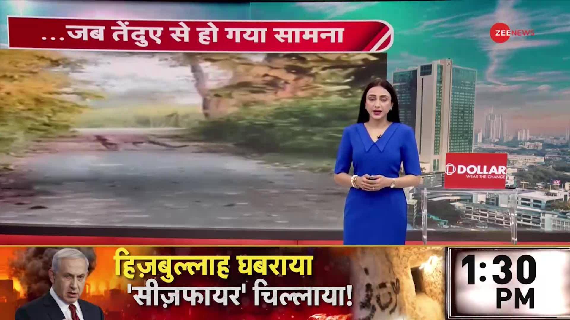 Leopard Spotted in UP