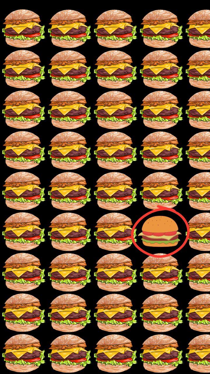 Optical Illusion: Can You Find A Delicious Single Cheese Burger