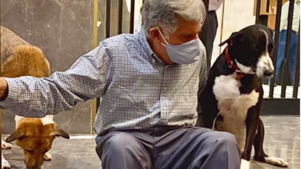 Ratan Tata’s Love For Dogs