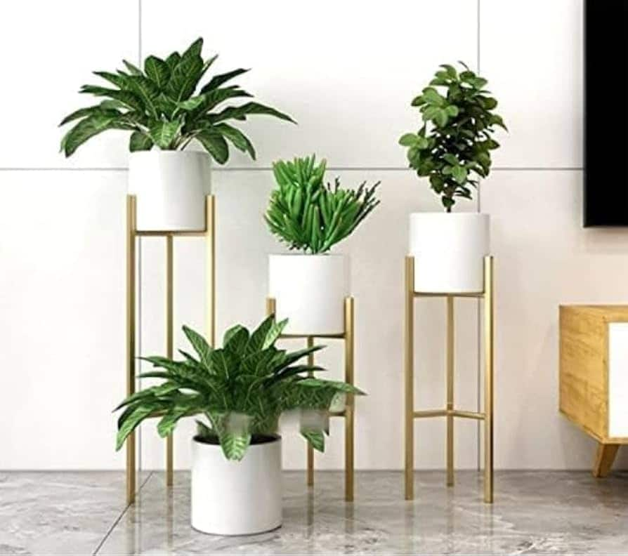 Elevate Your Greenery with Stylish Planters for Every Plant