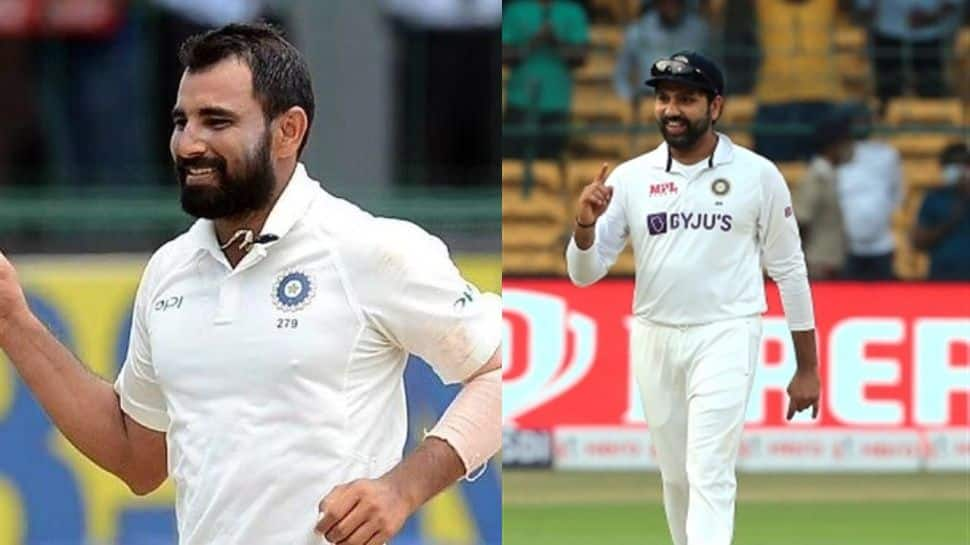 'India Won't Take Undercooked Shami To Australia' Says Rohit Sharma Ahead Of Border Gavaskar Trophy