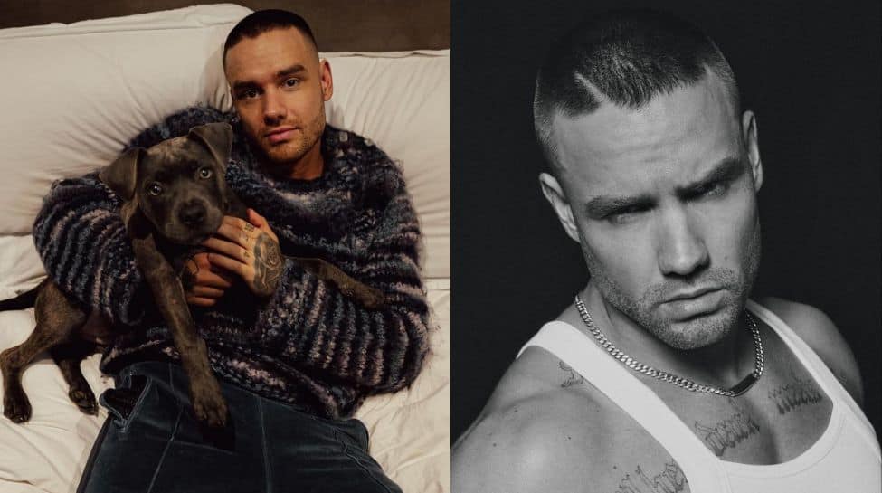 Who Was Liam Payne? Lesser Known Facts About The One Direction Star Whose Tragic Demise Left Fans Shocked