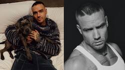 Who Was Liam Payne? Lesser Known Facts About The One Direction Star