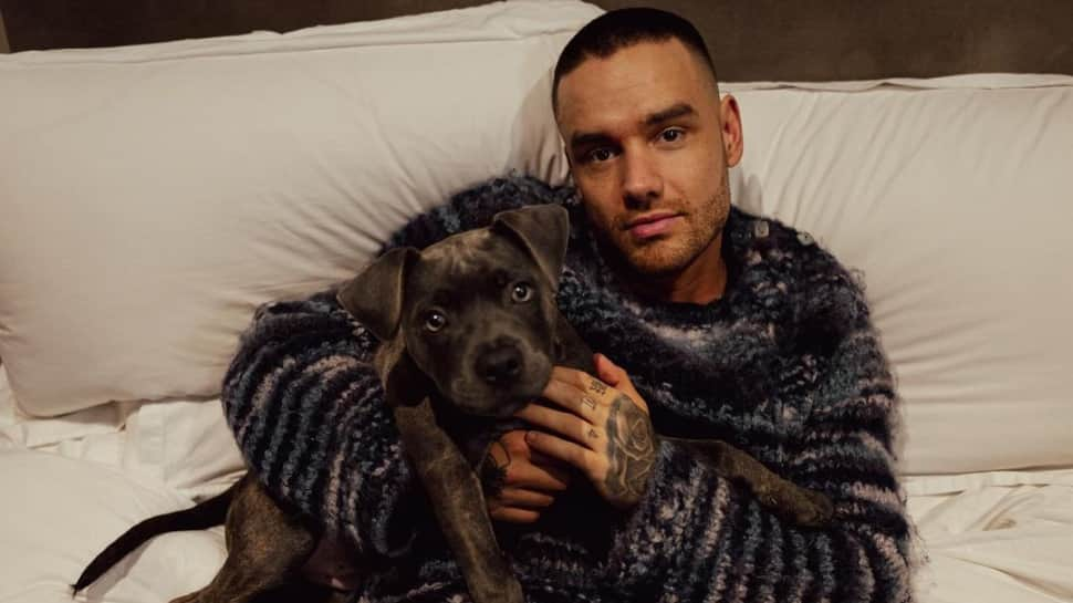 One Direction Singer Liam Payne Dies At 31, 'Shocked' Fans And Friends Mourn His Untimely Demise