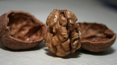 Walnuts