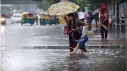  IMD Issues Heavy Rainfall Alert For Five Districts In Tamil Nadu