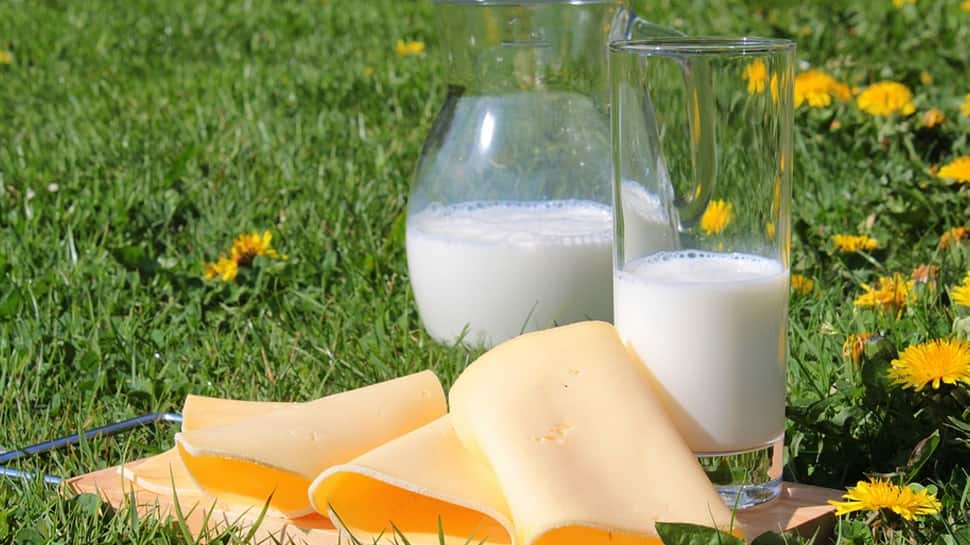 10 Vitamin B12 Rich Foods Vegetarians Should Include In Their Diet