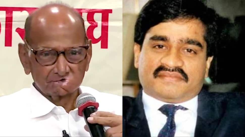 Sharad Pawar Met Dawood In Dubai, Govt Must Clarify: Prakash Ambedkar