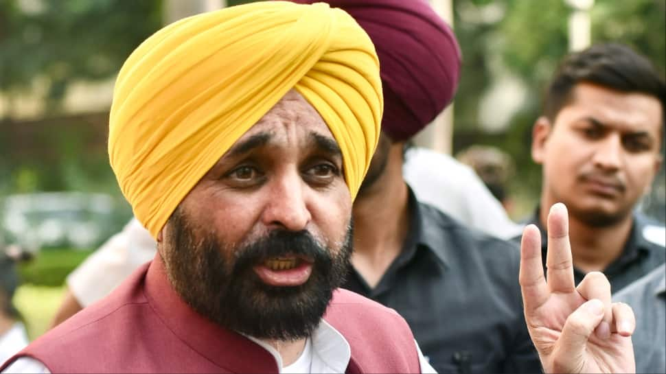 If PM Modi Can Stop Ukraine War…: Bhagwant Mann Seeks Centres Intervention Over Stubble Burning Issue