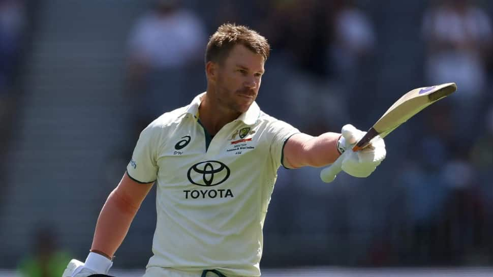 Border Gavaskar Trophy: David Warner Willing To Come Out Of Retirement And Play Against India