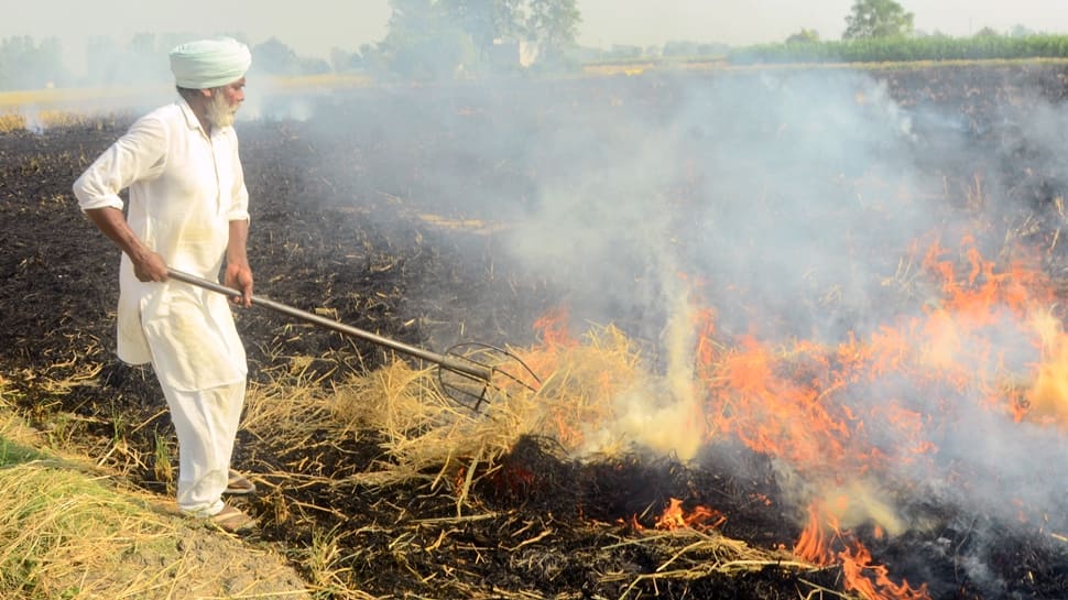 Mere Eyewash: On Stubble Burning, Air Air pollution, Supreme Court docket Raps Punjab, Haryana, Centre