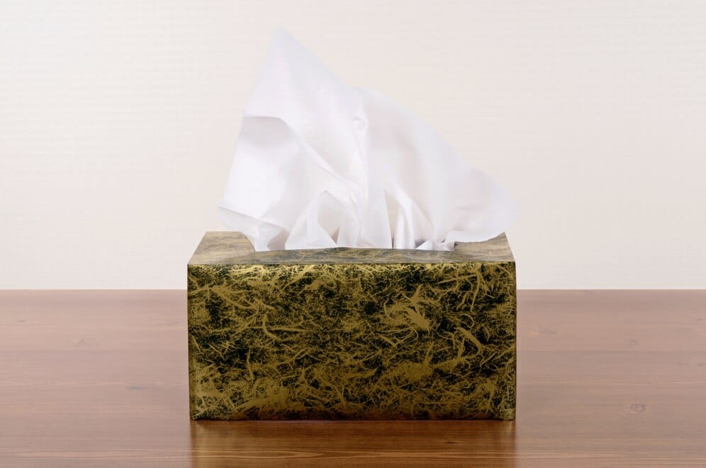 Great Festive Sale: Deals On Tissue Holders