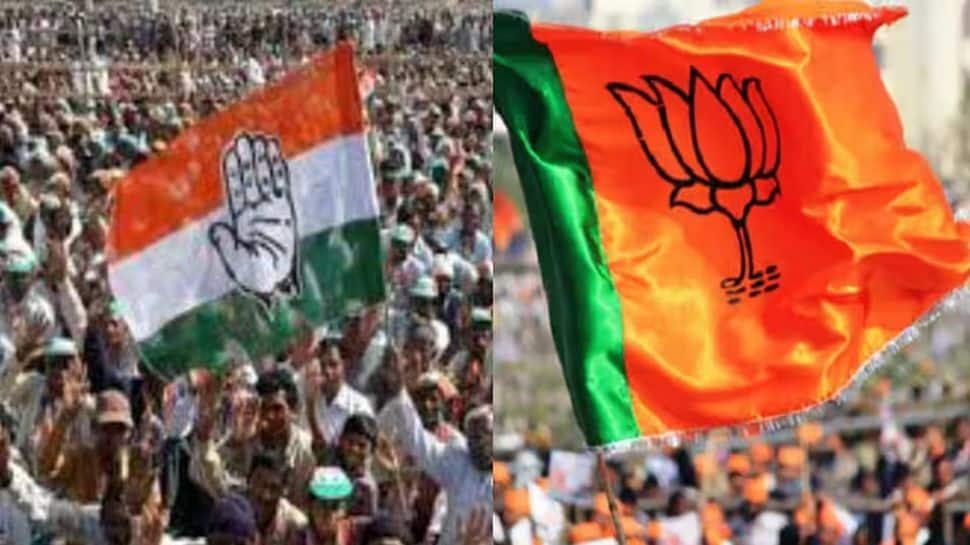 Congresss Cost On MSP a Large Fats Lie: BJP