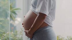 Study Finds Placenta's Hidden Role In Maternal Anxiety, Depression