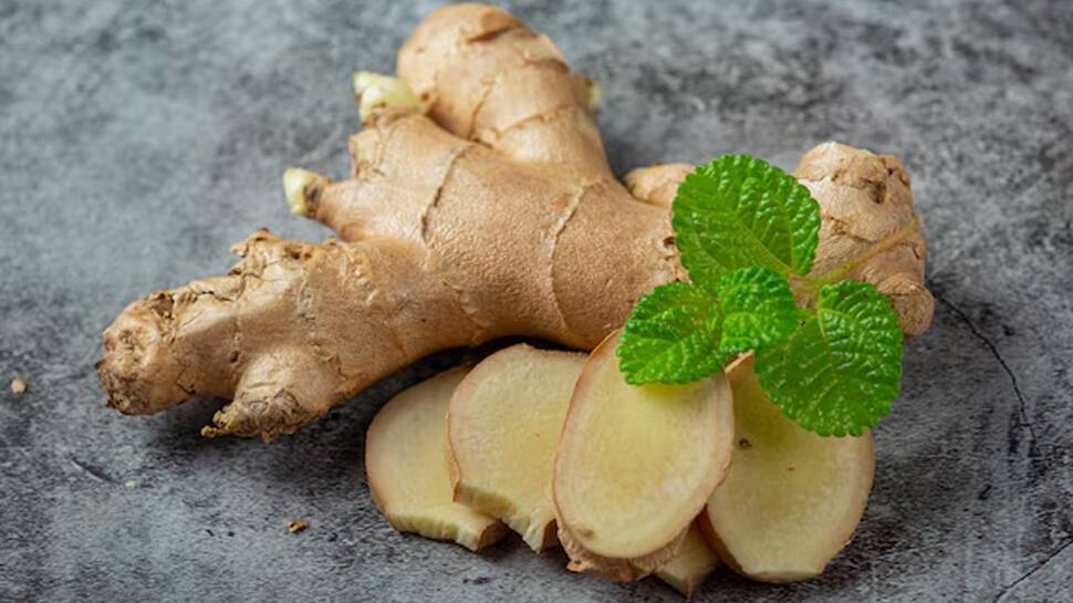 Ginger Ginger