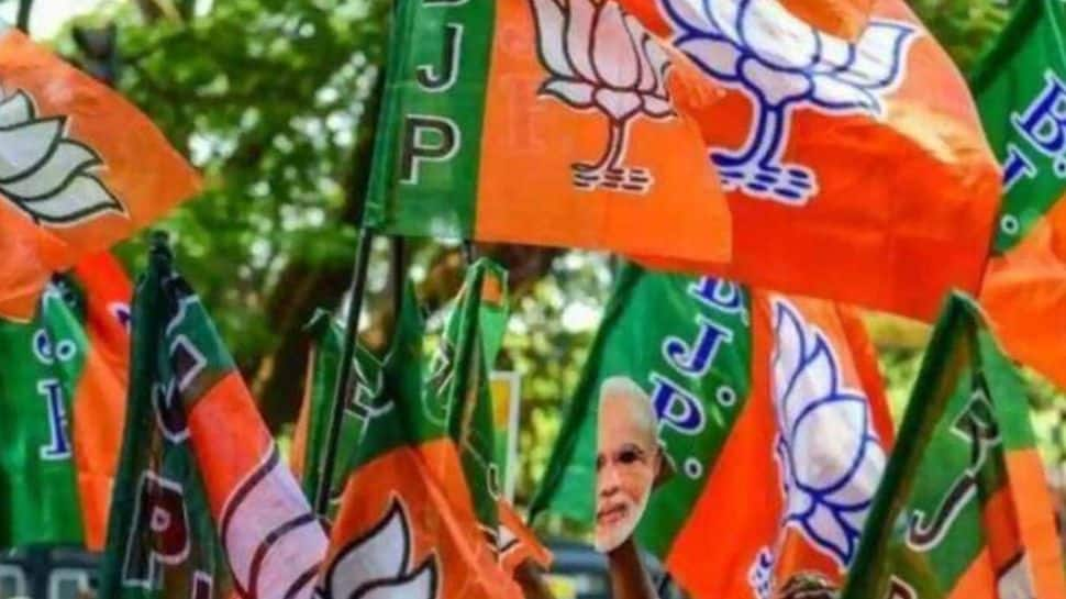 Jharkhand Polls: BJP Expels 30 Leaders For Contesting In opposition to Social gathering-Nominated Candidates Ranchi