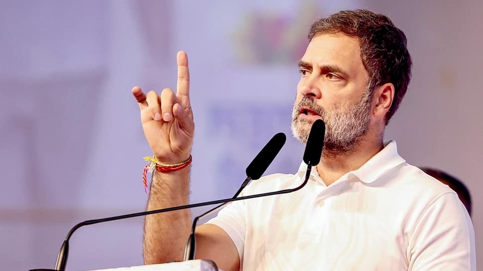 BJP Desires To Snatch Jal, Jungle, Jameen From Tribals, Alleges Rahul At Jharkhand Ballot Rally