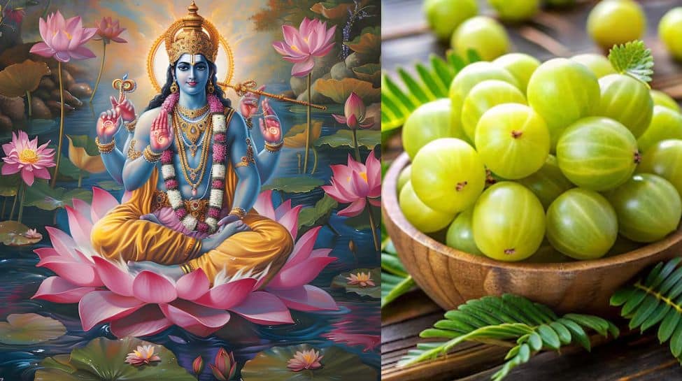 Akshaya Navami 2024: Date, Muhurat, Rituals, And The Spiritual Significance Of Amla Navami