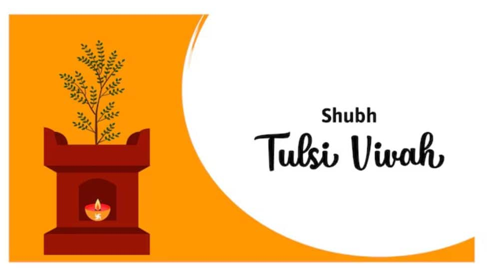 Tulsi Vivah 2024: Date, Time, Significance, And Importance