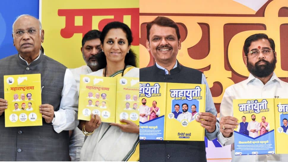Maharashtra Election: How Mahayuti, MVA Wooing Voters With Freebie For Women, Farmers, Youth Maharashtra Election: How Mahayuti, MVA Wooing Voters With Freebie For Women, Farmers, Youth