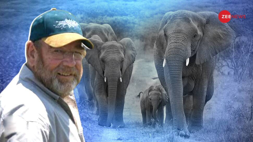 Meet Man Who Saved Elephants During Iraq War: Mammoths Repay His Debt ...