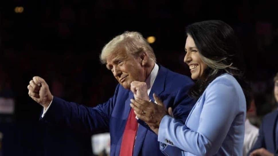 Who Is Tulsi Gabbard? Know All About First Hindu Congresswoman Appointed As Intelligence Director Underneath Trumps Administration