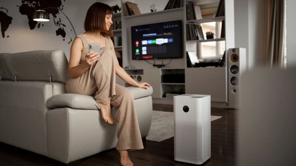 Clean Air Within The House