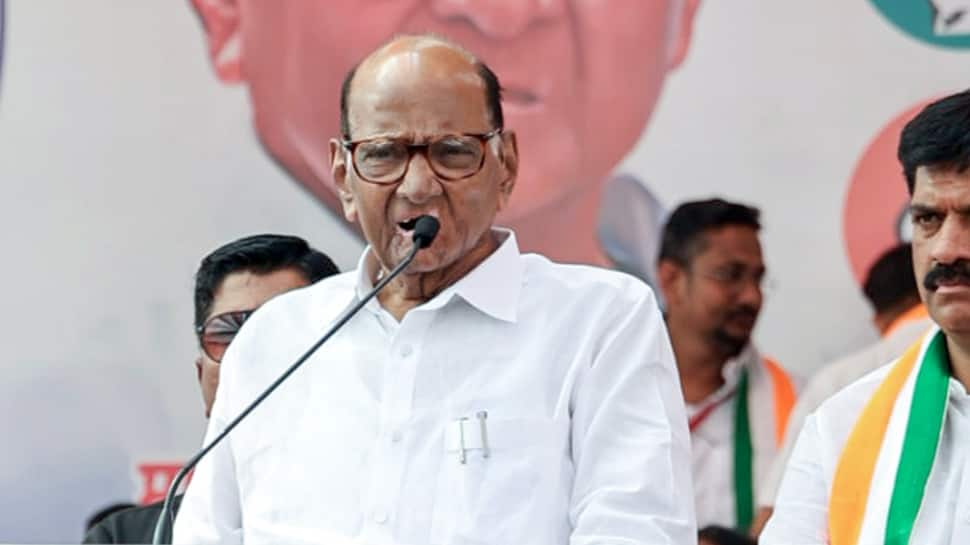 Sharad Pawar Slams Mahayuti Govt For Rise In Crimes In opposition to Girls; Assaults Fadnavis